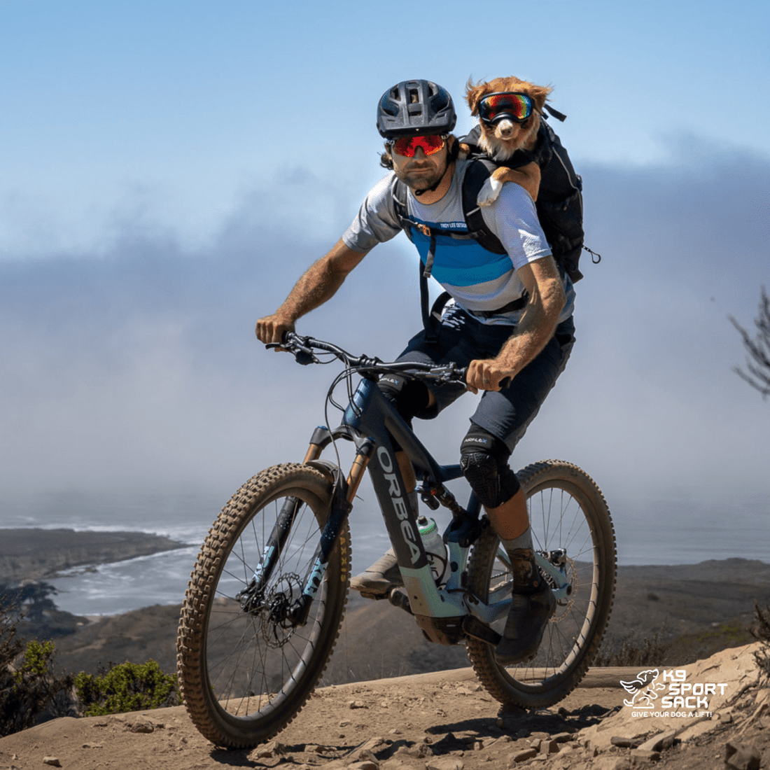 Knavigate | Advanced Dog Carrier with Internal Frame & Hip Belt