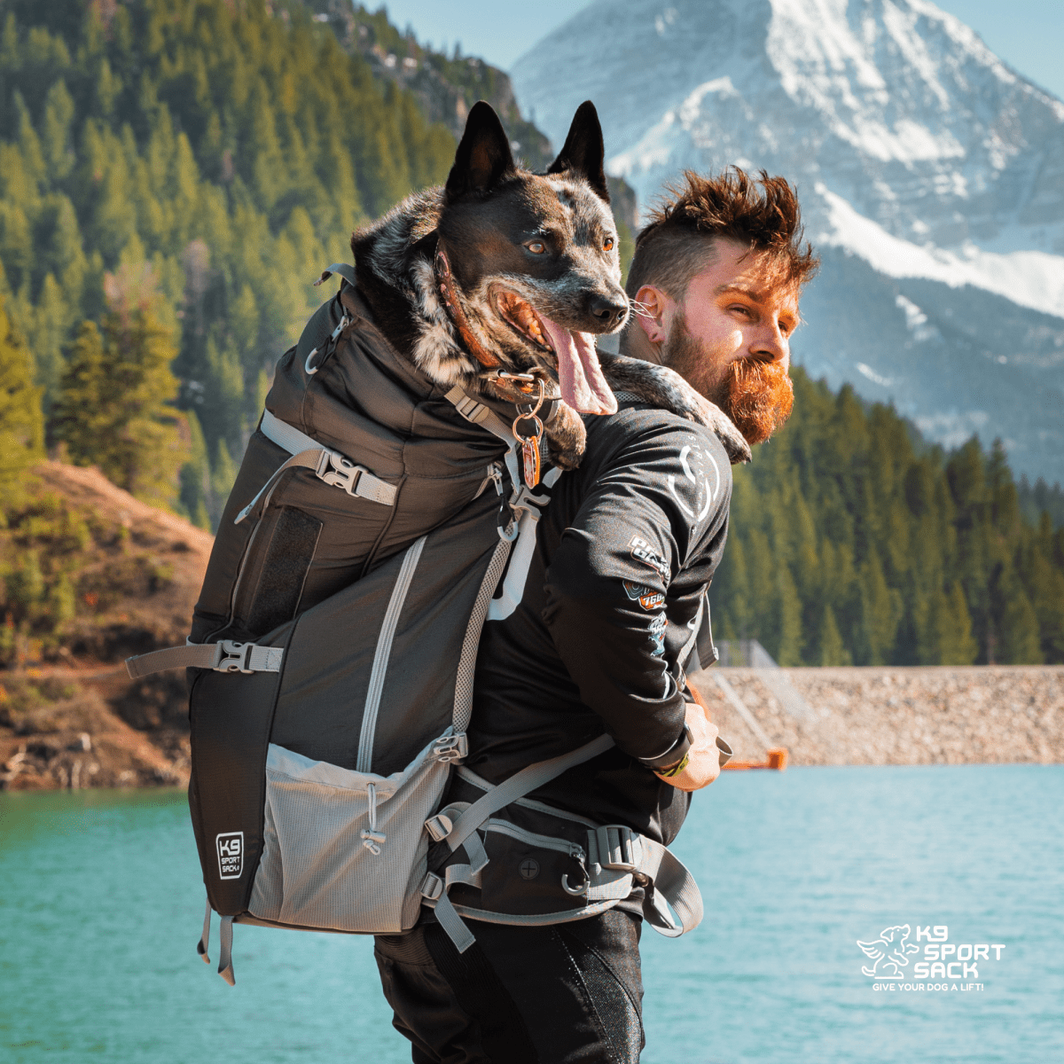 Kolossus | Big Dog Carrier & Backpacking Pack