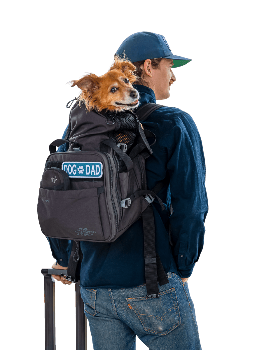 Sky Pack | Convertible Dog Backpack & Pet Carrier