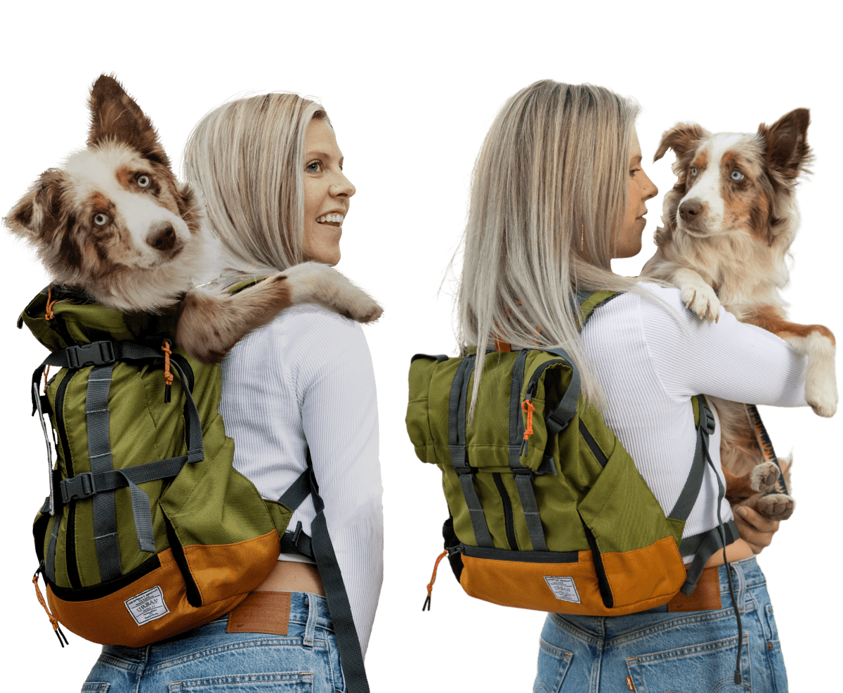 Urban 3 | Dual Use Dog Carrier & Traditional Backpack