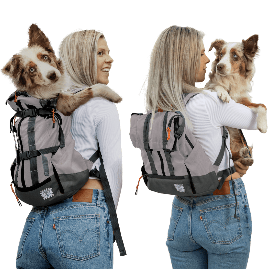 Urban 3 | Dual Use Dog Carrier & Traditional Backpack