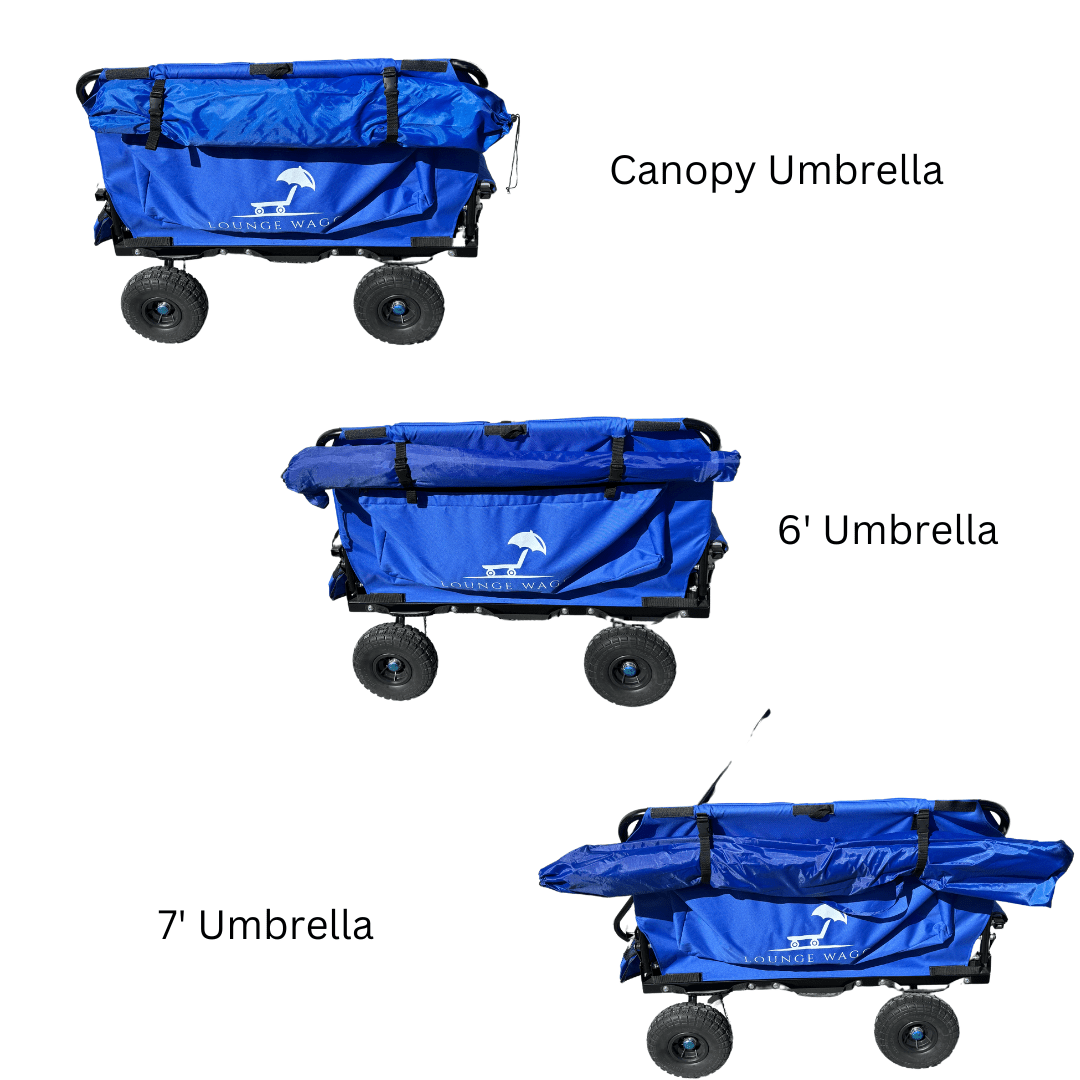 Canopy Umbrella